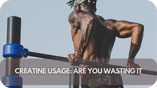 Creatine Usage: Are You Wasting It?