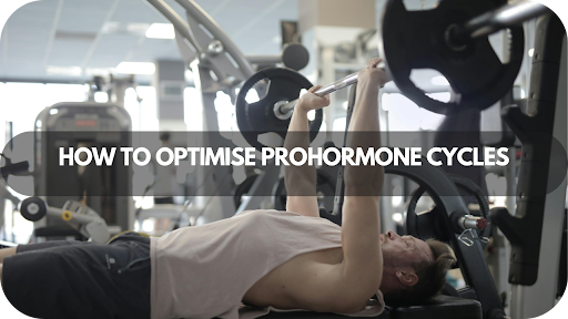 How To Optimise Prohormone Cycles