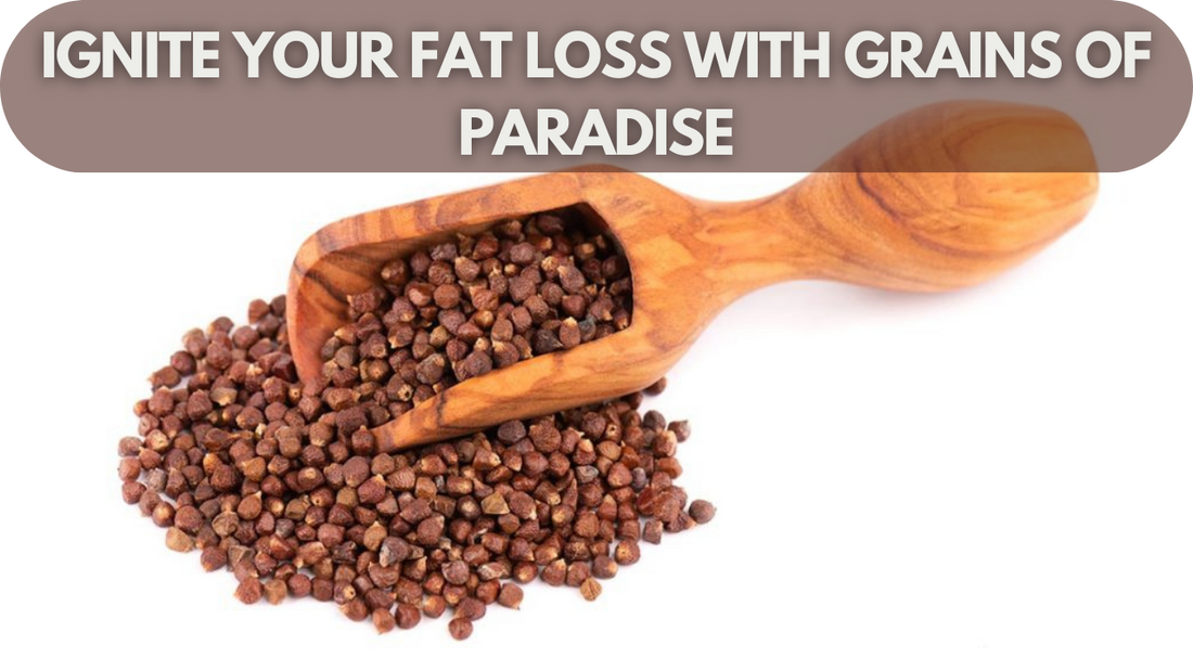 Ignite Your Fat Loss With Grains of Paradise